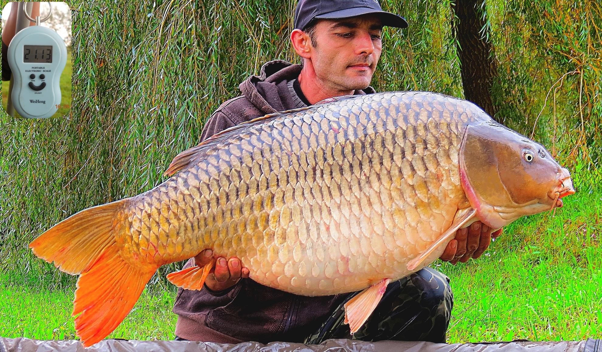 Palici Sep.2014 - 003-img6100-009-comun-2113-kg-la-1050m.JPG